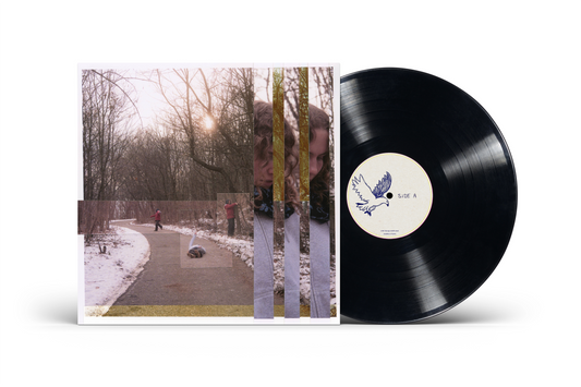 'Some Things Never Leave' Vinyl Album